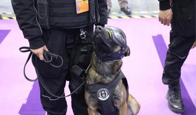 клонированная полицейская собака привлекла внимание на экспо